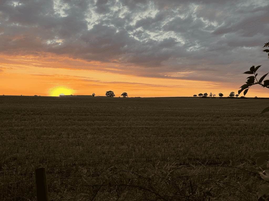 A picture of a sunset in the fields - One of the many pictures taken by Fabida on her wellbeing walks