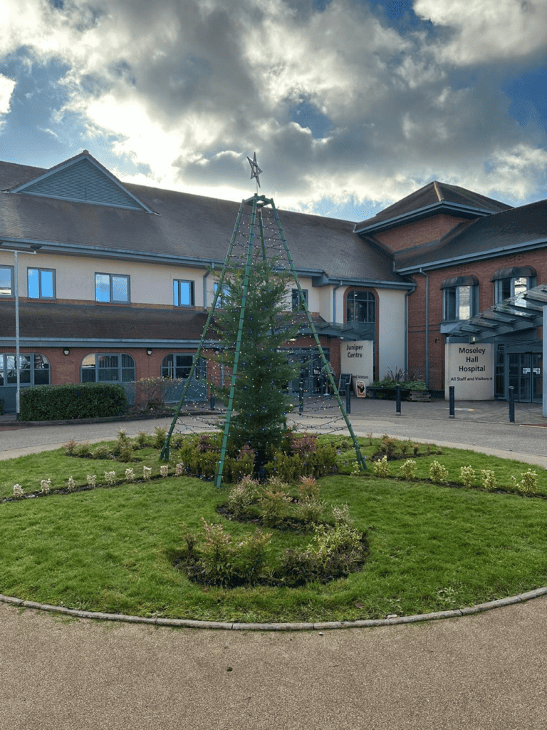 The tree in the daytime outside if the centre 