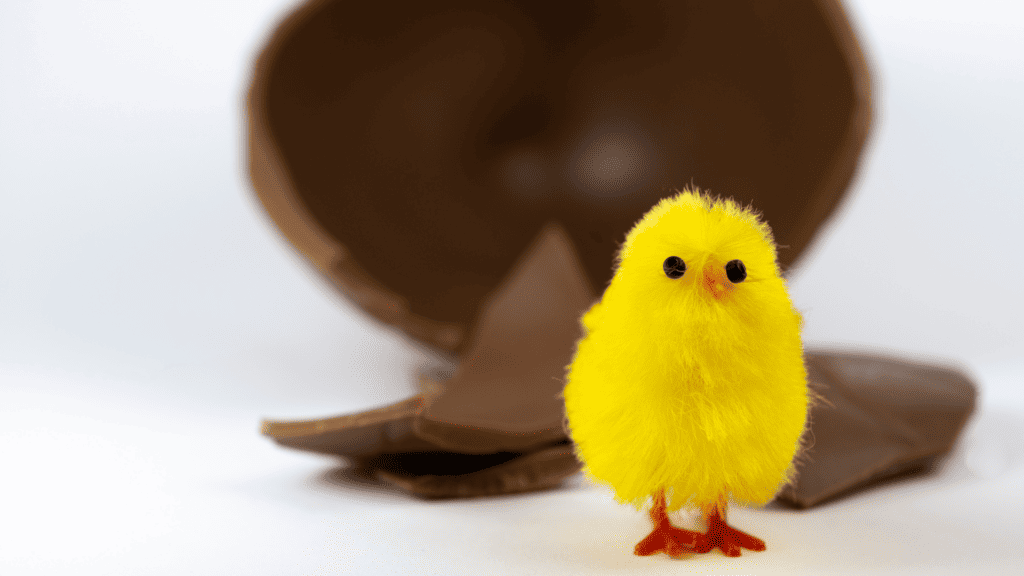 an easter chick with a chocolate egg