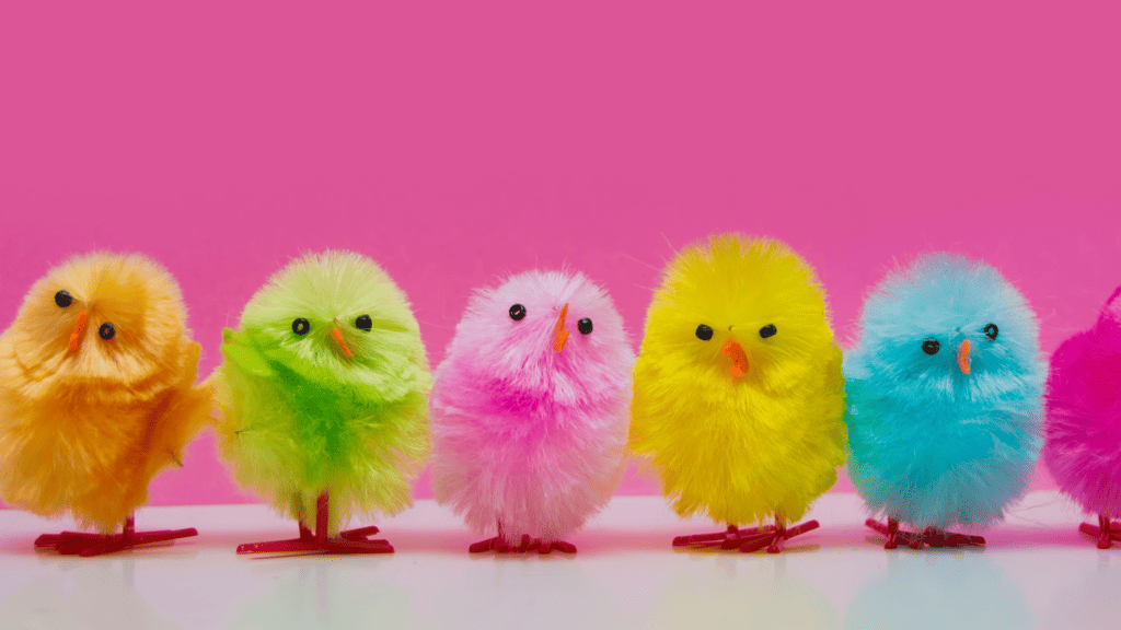 easter chicks